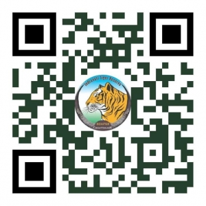 अंतरराष्ट्रीय बाघ दिवस पर होगा 'रन फॉर इंद्रावती' मैराथन का आयोजन