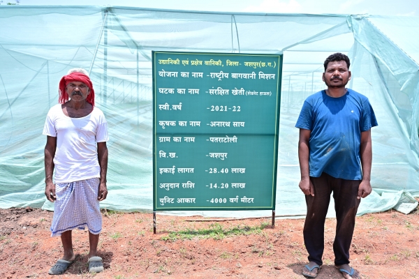 ऑयल पाम से लेकर आम-लीची, स्ट्रॉबेरी, टमाटर और फूलगोभी की खेती से बढ़ी आय