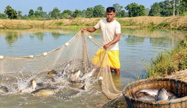 जल संचयन से समृद्धि की ओर