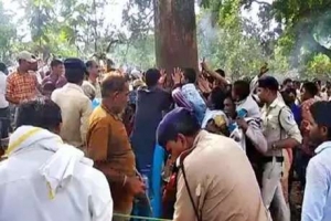 वाट्सऐप पर वायरल &lsquo;जादुई महुआ&rsquo; से टेंशन में सतपुड़ा टाइगर रिजर्व