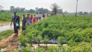 नक्सल प्रभावित क्षेत्र में समृद्धि की नई गाथा