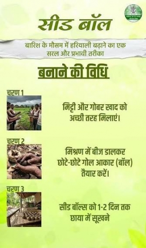 विशेष लेख: सीड बॉल अभियान- हरियाली बढ़ाने का सरल और प्रभावी माध्यम