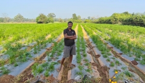 नक्सल मुक्त क्षेत्रों में आधुनिक खेती से कृषक गोपाल एर्रागोला ने रची सफलता की नई इबारत